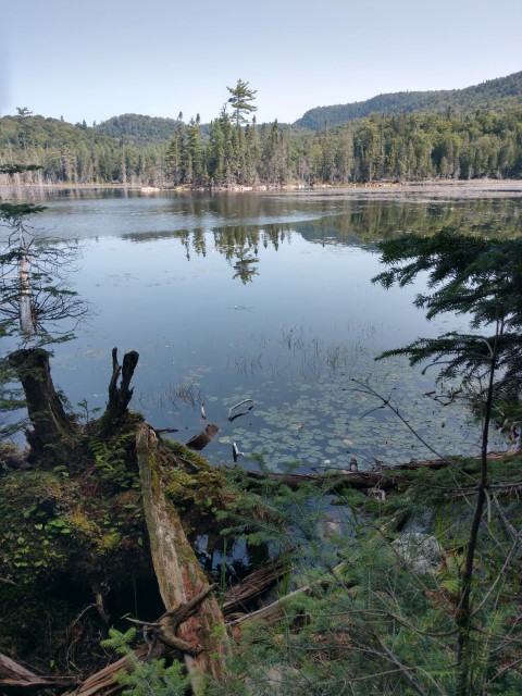 IMG_20180813_110836671_HDR.jpg